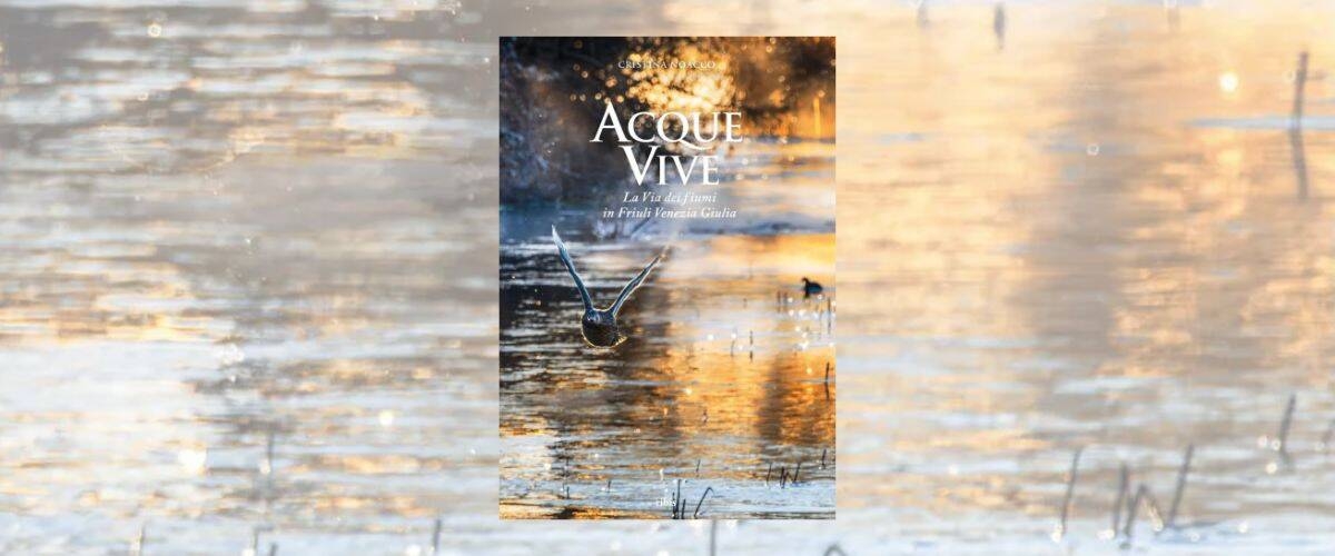 Immagine: Acque vive