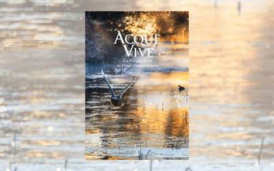 Immagine: Acque vive