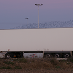 Immagine: Cold Route