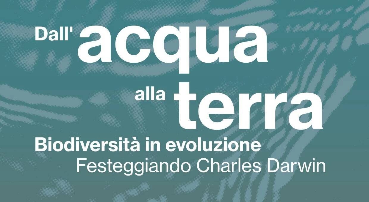 Immagine: Darwin Day 2025
