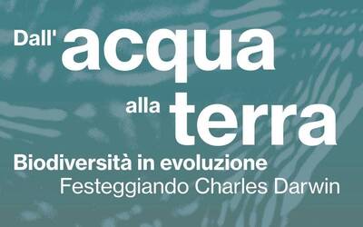 Immagine: Darwin Day 2025