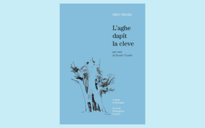 Immagine: L'aghe dapît la cleve
