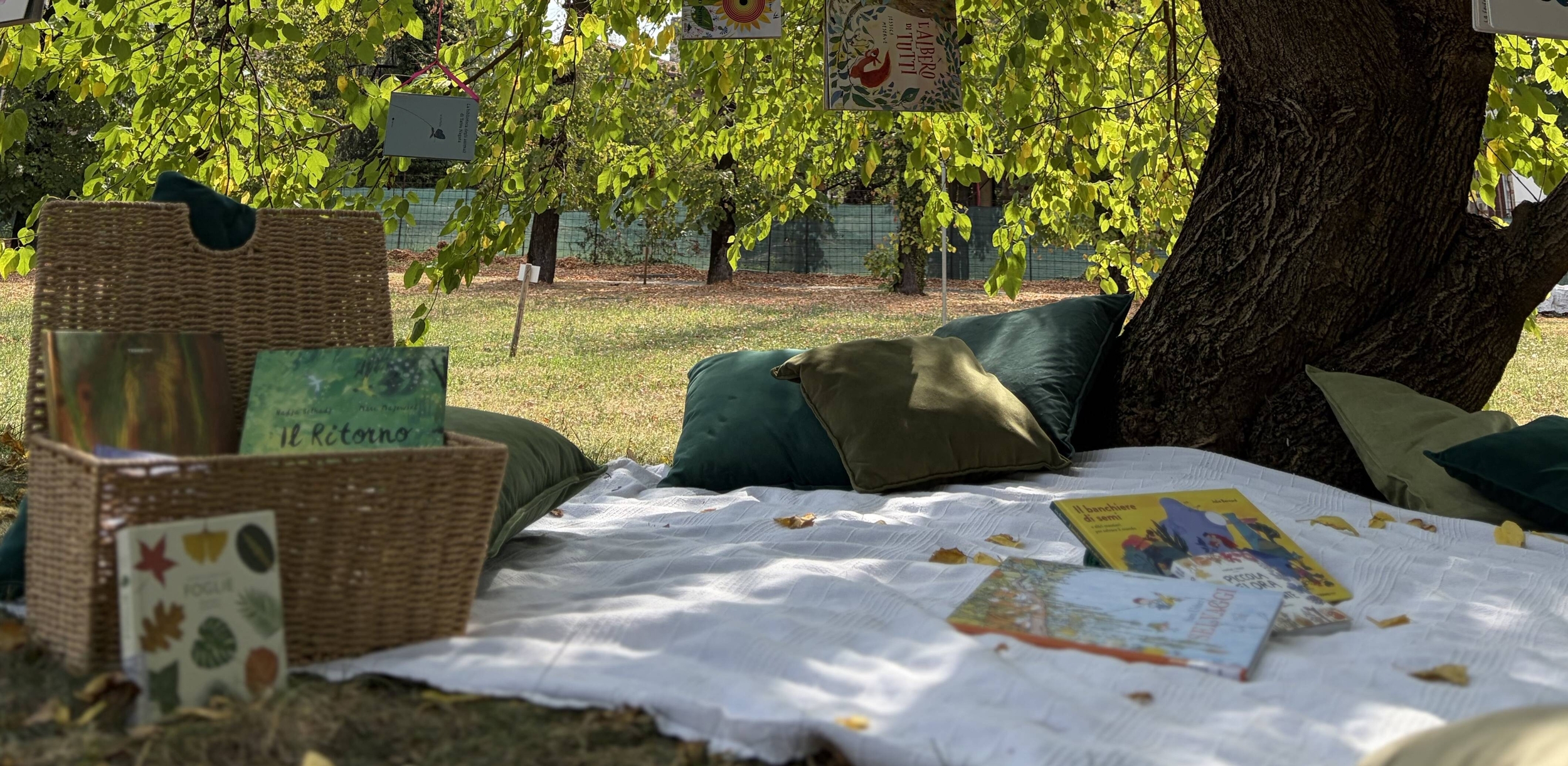 Immagine di allestimento di spazio per lettura. Presente una coperta, un baule e libri sotto un albero