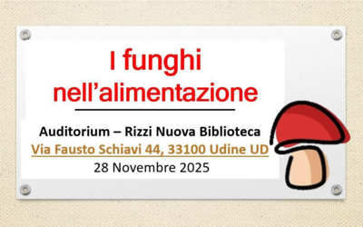 Immagine: logo