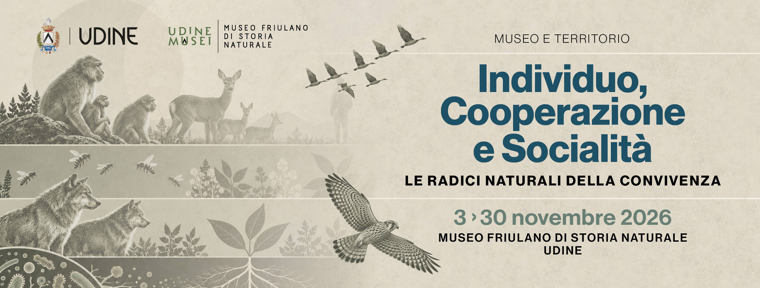 Immagine: Museo e territorio 2 - immagine