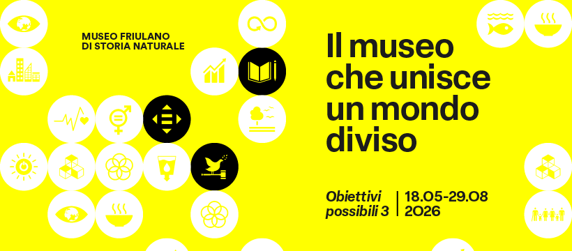 Banner di Obiettivi possibili