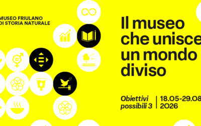 Banner di Obiettivi possibili