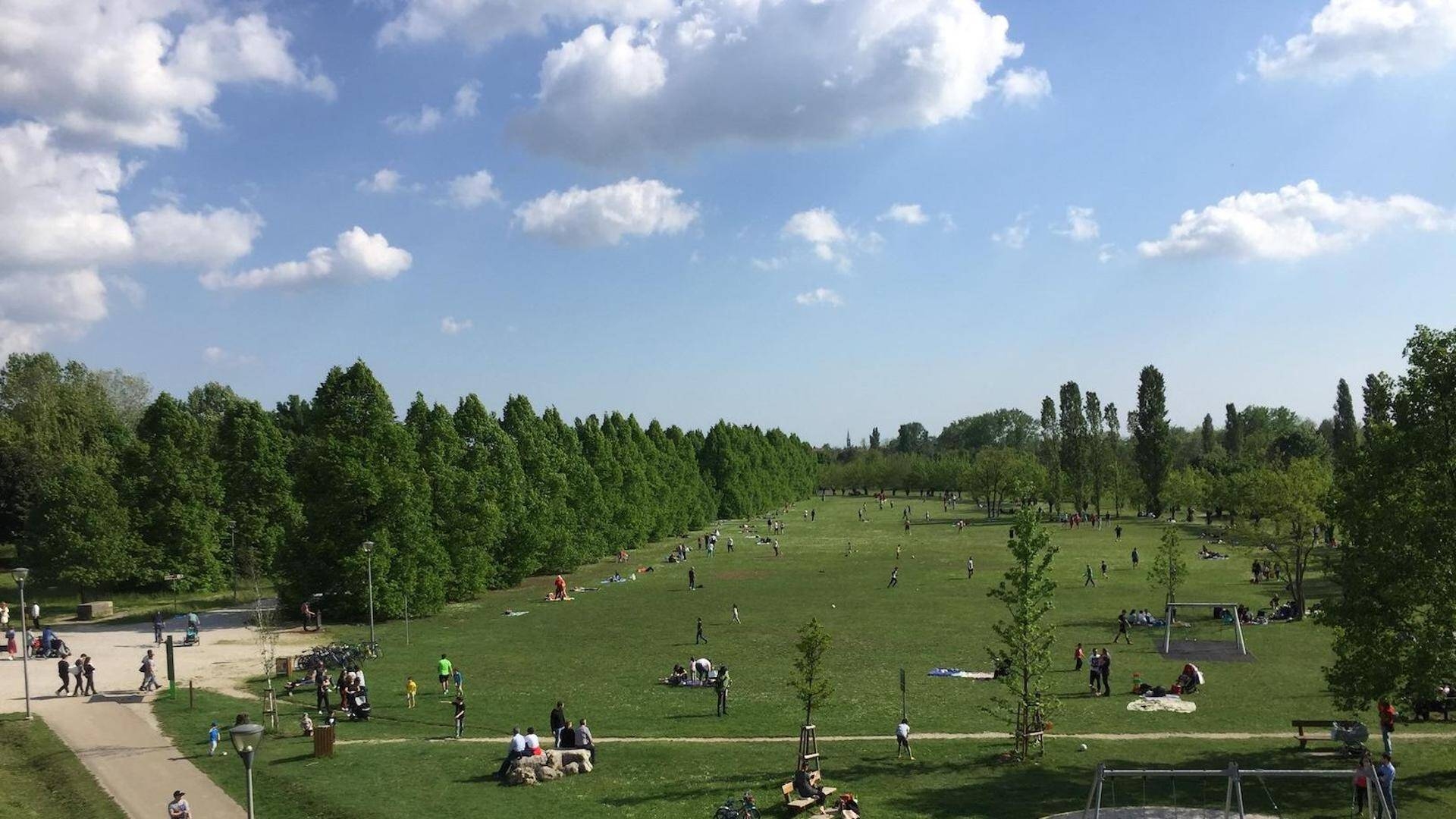 Immagine: Parco del Cormor