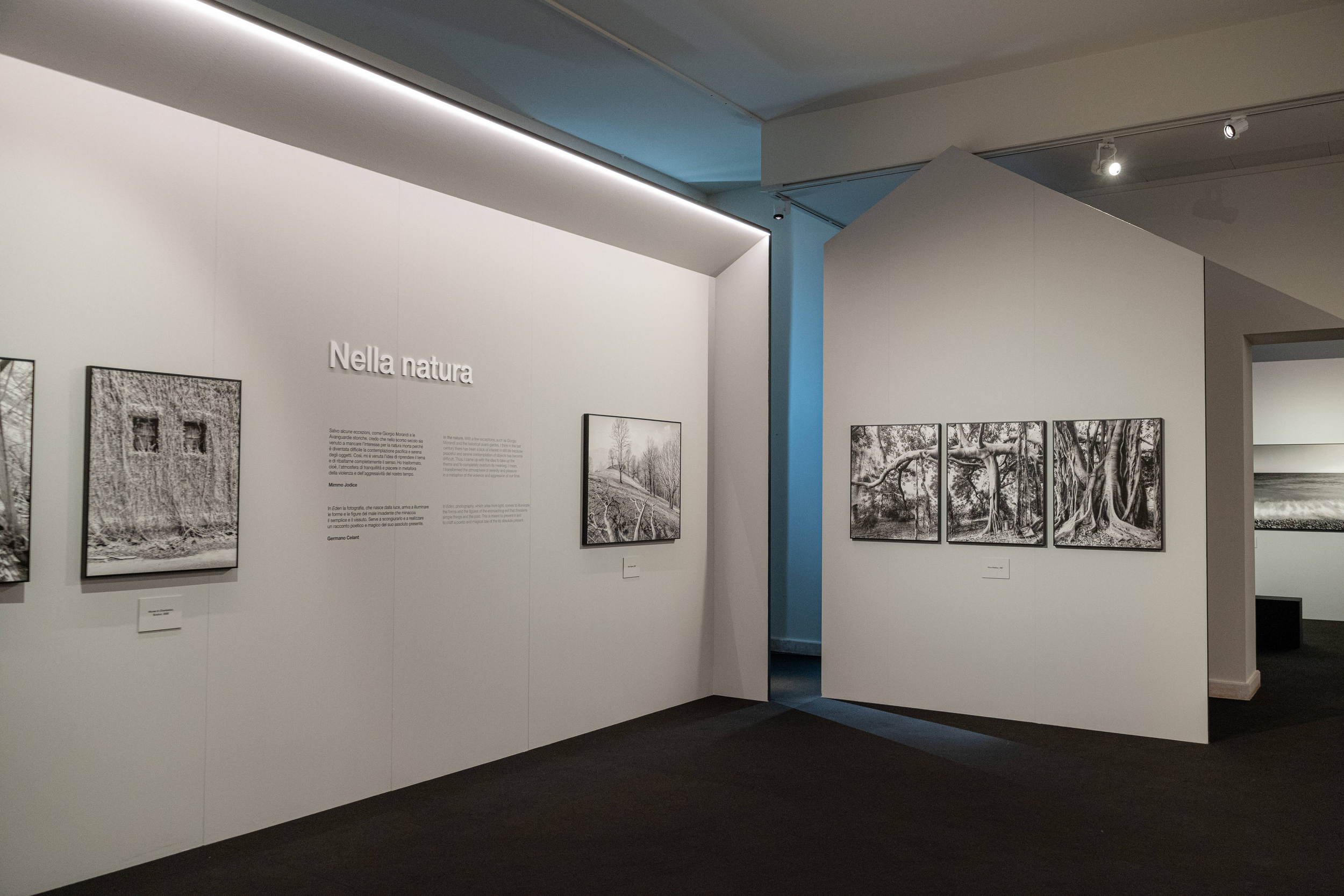 Immagine: Particolare allestimento mostra Mimmo Jodice