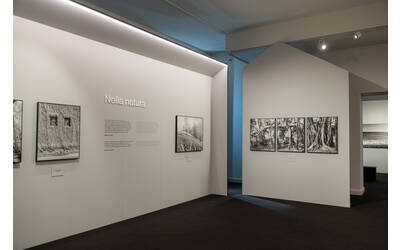 Immagine: Particolare allestimento mostra Mimmo Jodice