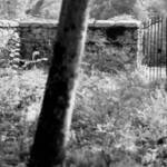 Immagine: Piccolo cimitero abbandonato, Pozzis di Verzegnis