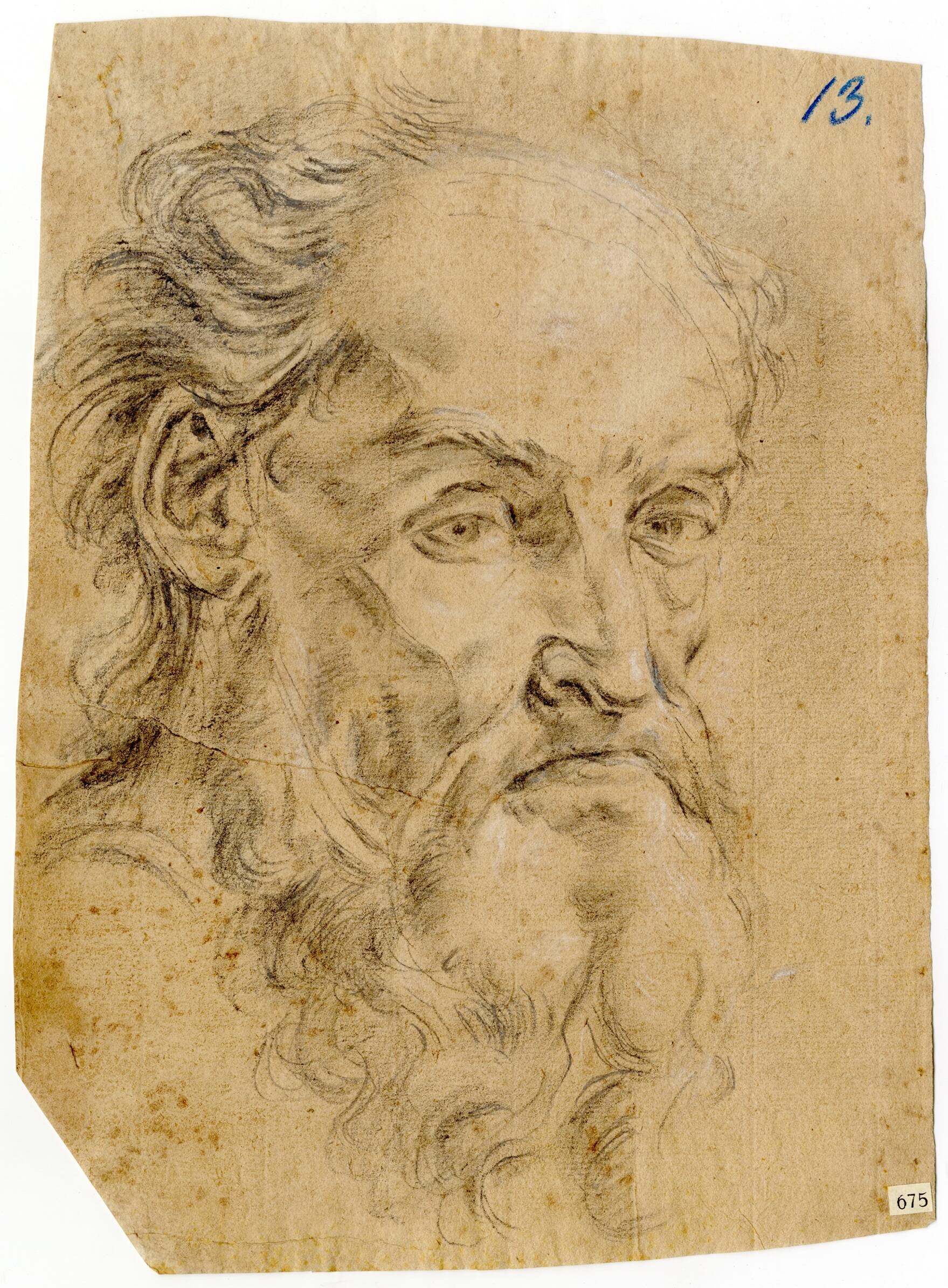 Immagine: Ritratto di anziano