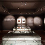 Immagine: Sala mostra