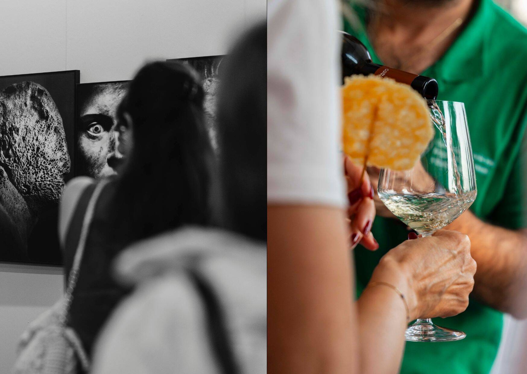 Immagine: Visita guidata e degustazione