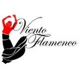 Immagine: A.S.D. Viento Flamenco